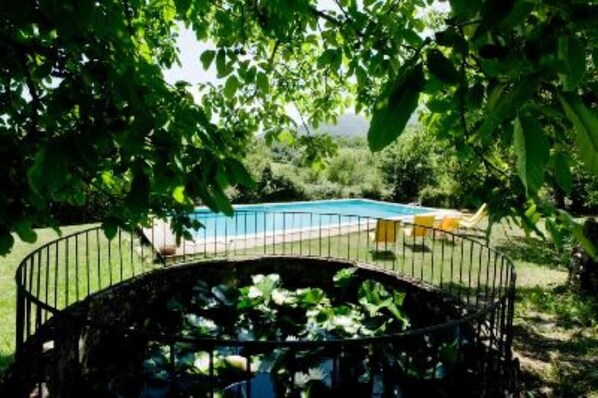 Garden, Park