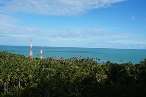 view from the terrace