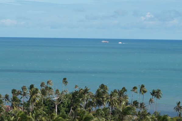 View from the terrace