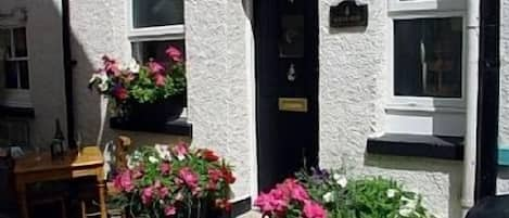 Bird's Nest frontage in summer