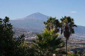 Teide Views