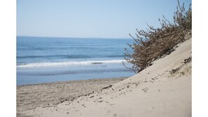 Playa Duna real de Zaragoza, zona protegida por su alto valor ecológico .