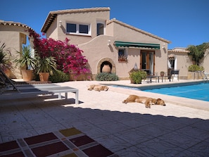 View to the rear of the villa (dogs not included! Show purposes only!)