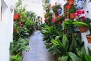 Beautiful flower laden Guejar Sierra Streets. Locals take a real pride in Guejar