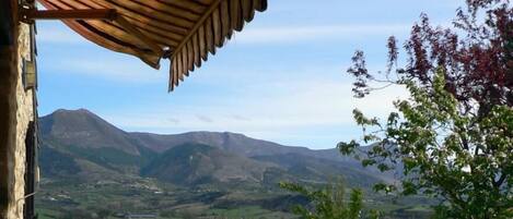 Terras / balkon