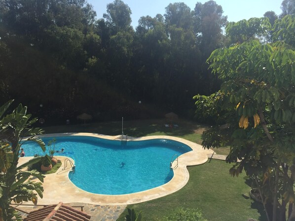 Communal swimming pool, shower and wc by the pool too