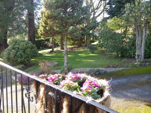 Garden view from the balcony