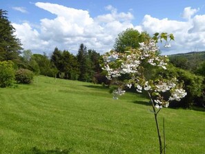 Garden view from wooden bench, often used by Walkers Retreat guests