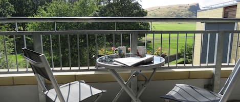 View into Holyrood Park from Sitting Room balcony

