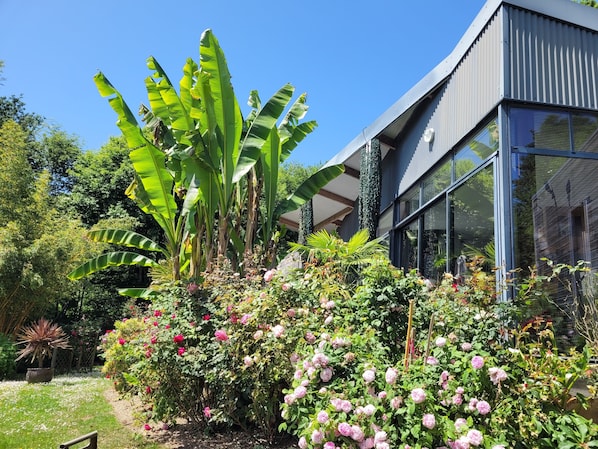 maison vue du jardin