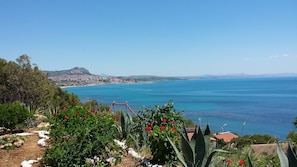 Beach/ocean view