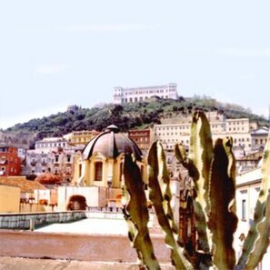 Terraza / Balcón