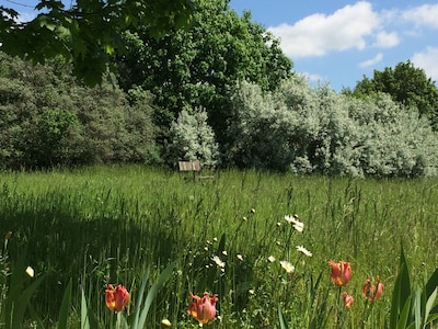 Refuge in the Uckermark + plenty of nature + idyll with garden sauna + stylish living