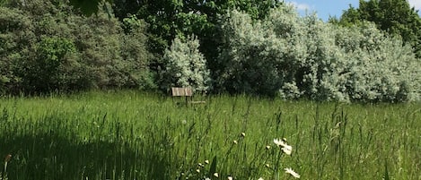 Sitzplatz auf der Blumenwiese mit Panoramablick über die angrenzenden Felder