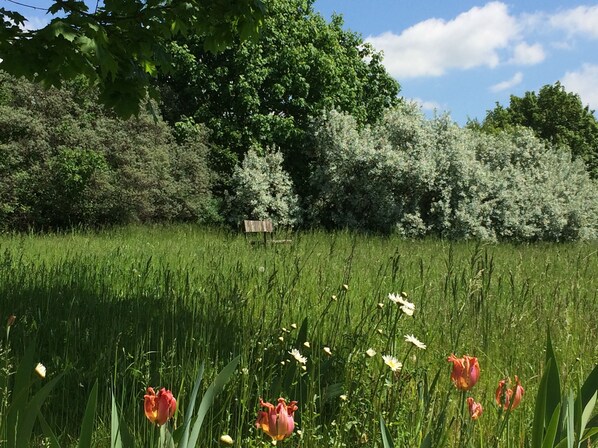 Sitzplatz auf der Blumenwiese mit Panoramablick über die angrenzenden Felder