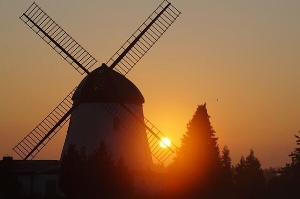 Windmühle bei Sonnenaufgang