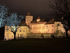 Burg im Winterlicht…..