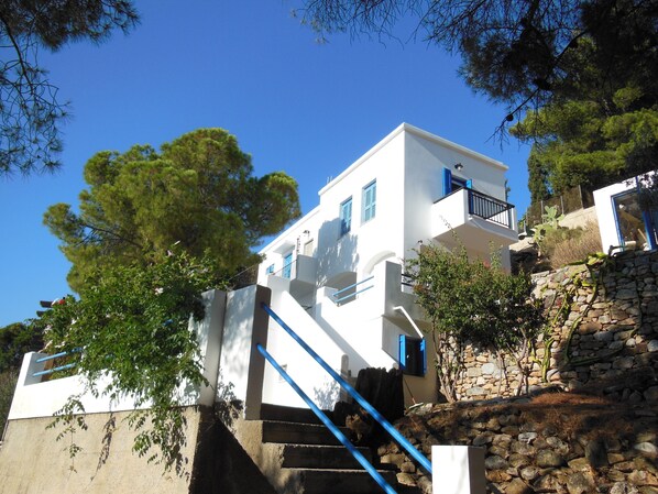 The house