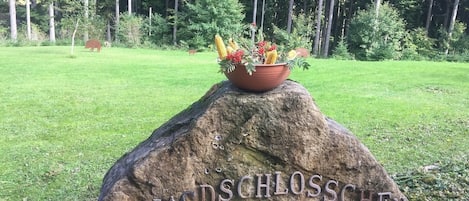 Enceinte de l’hébergement