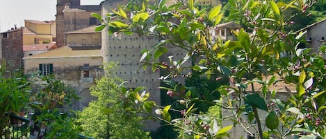 Blick von der Terrasse aus/
View from the terrace