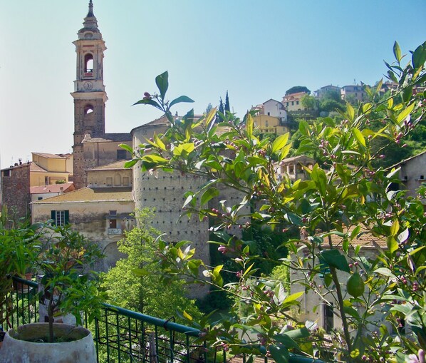 Blick von der Terrasse aus/
View from the terrace