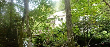 Das Haus vom Wald aus gesehen 