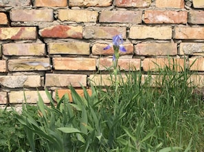 Außendetails