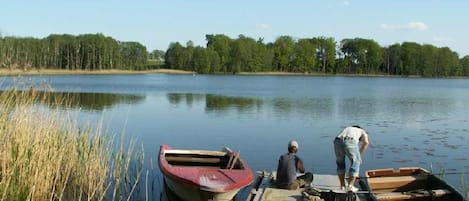 Järvi