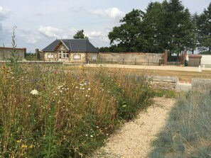 vue de la prairie fleurie