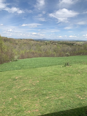 Another great view of our farm, private/safe for kids and dogs.