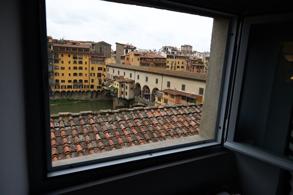 the view from the living's window