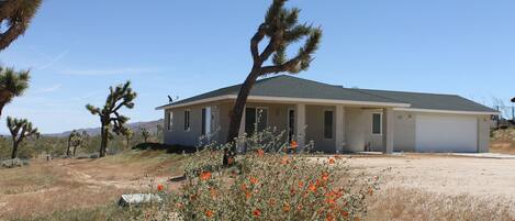 Front of house with wild flowers.