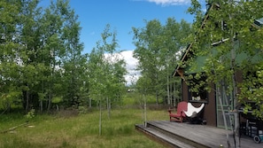 Northern views and lots of aspens for shade...