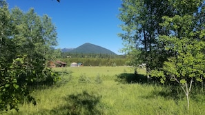 View to the west from front porch