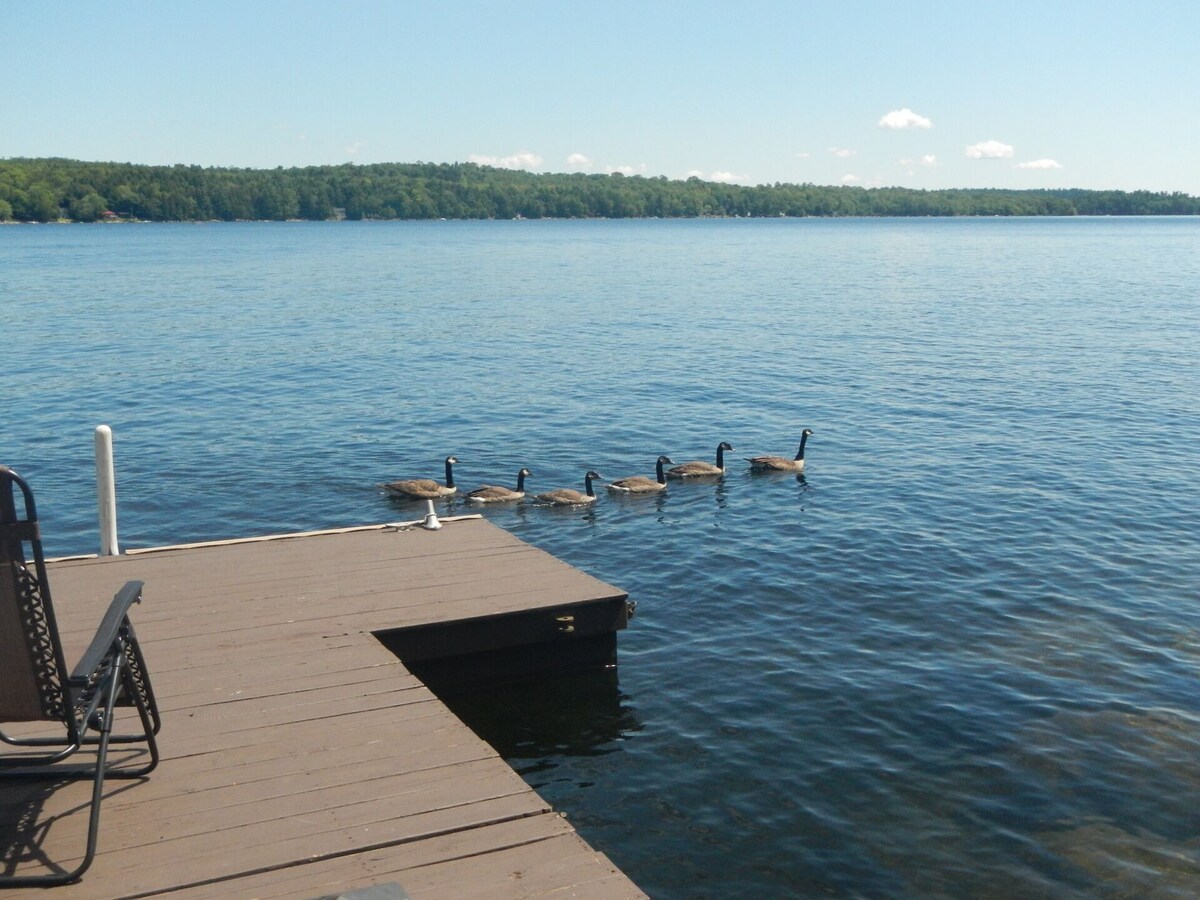 Immaculate Waterfront Apt, kayaks, hot tub, 45 min. to Acadia