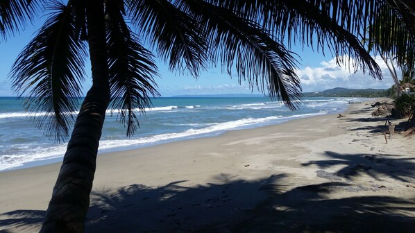 Beach, as seen from the yard.