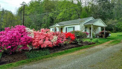 Railway Rest, near Asheville - enjoy convenience and comfort!