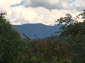 A view from your backyard!