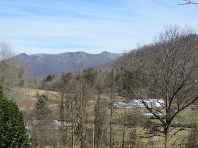 Serenity Views Bungalow - 15 minutes to Asheville, Weaverville, Parkway & Golf!