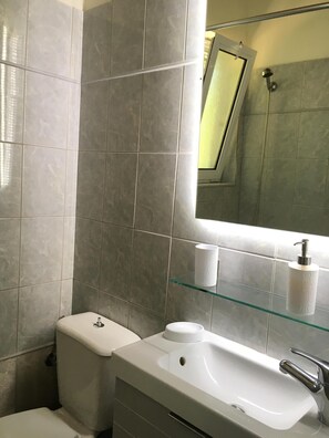 Ground Floor - Bathroom (Shower)