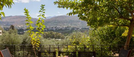 View from South Veranda