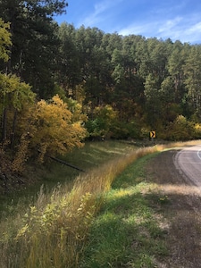 Priceless Black Hills View!!!