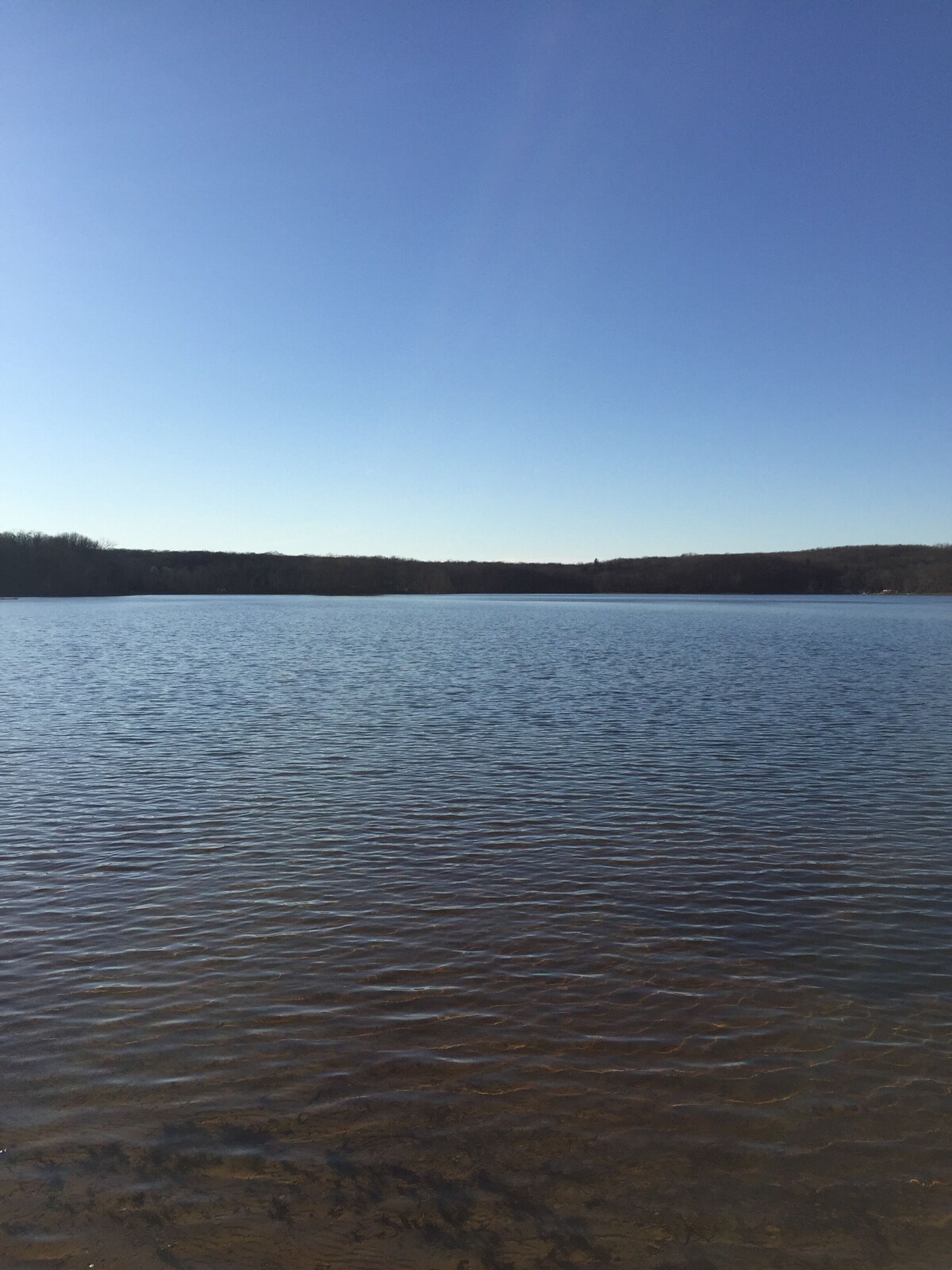 Lakefront cottage with sandy beach and great fishing on Gun Lake in Fountain MI