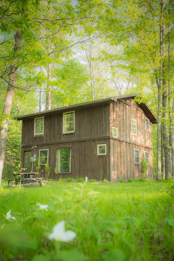 Summer view of the Tree Lodge