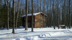 Winter view of the Tree Lodge