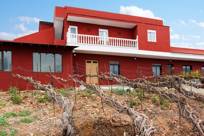 Elegant apartment surrounded by vineyards