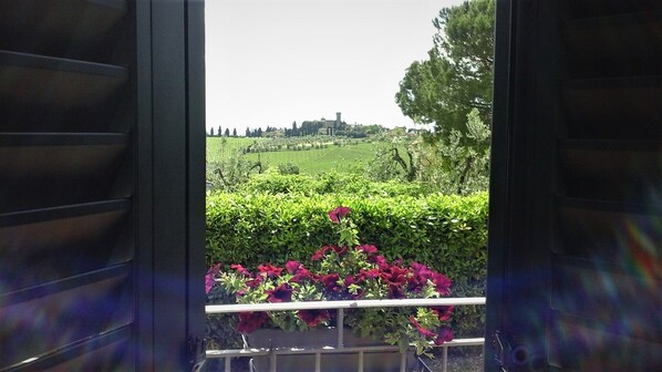 View of the Poppiano Castle from entrance