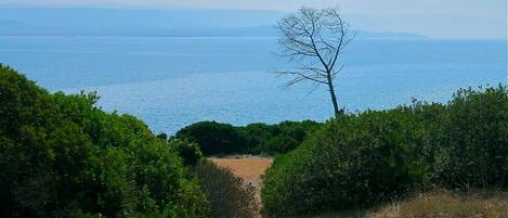 Vista mare dal Podere, discesa all'insenatura