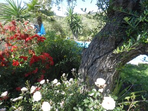 Jardines del alojamiento