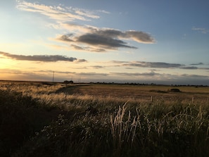 Sun is setting over the countryside